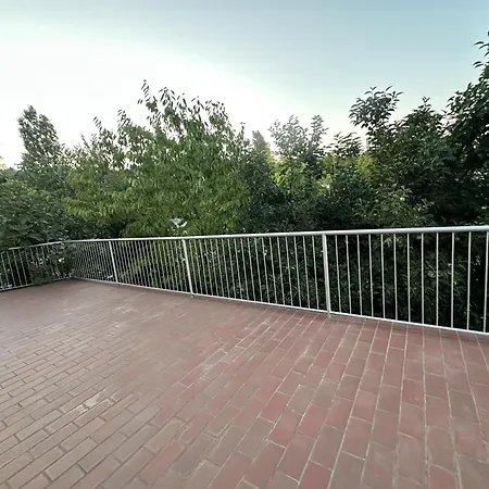 Armony Venus E Assisi *