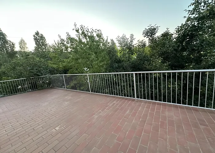 Armony Venus E Assisi *